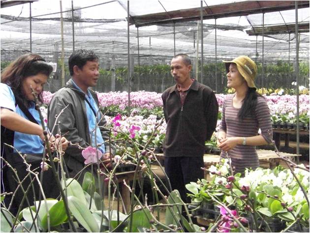 bbppl-stubad kutai-anggrek.jpg